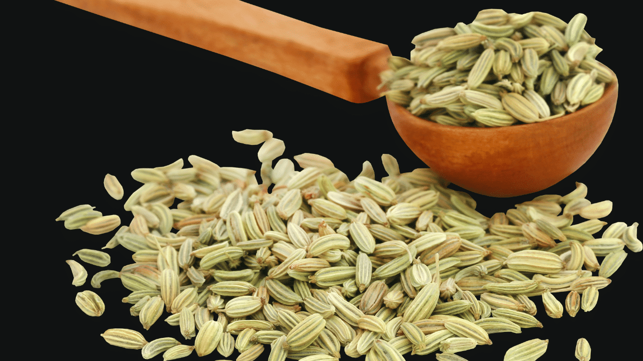 graines de fenouil : gros plan sur des graines de fenouil naturelles