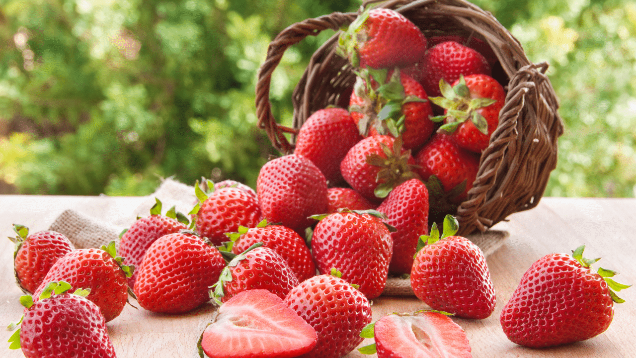 fraise minceur : fraises fraîches rouges et juteuses sur fond blanc